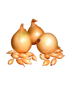 Лук севок Купидо уп 200гр