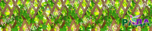 СЕТКА ВИНИЛОВАЯ (ПВХ) С ФОТОПЕЧАТЬЮ РАДА РУЛОННАЯ 1580 ММ АРТ 010