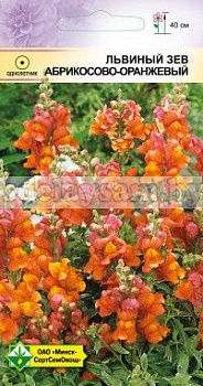 Львиный зев Абрикосово-оранжевый
