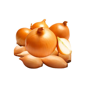 Лук-севок Шакспире (калибр 10-21мм)