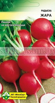 Редис Жара