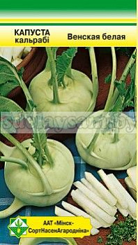Капуста кольраби Венская белая