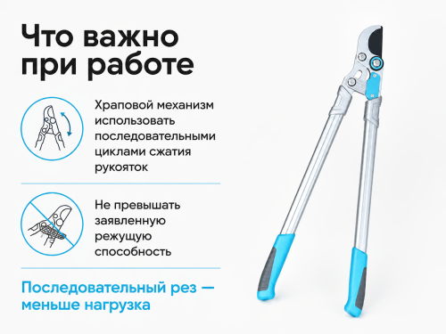 Сучкорез плоскостной CYRUS TS-2263 с храповым механизмом
