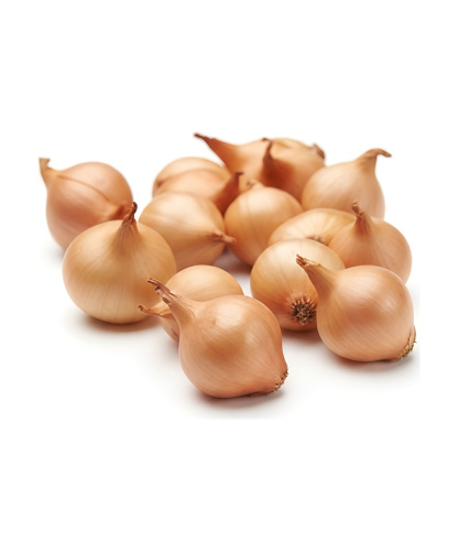 Лук-севок Штуттгартер Ризен (калибр 10-17мм) 200гр.