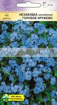 Незабудка альп Голубое кружево
