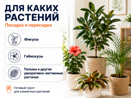 Скорая помощь грунт для фикусов, 2,5 л фото 3