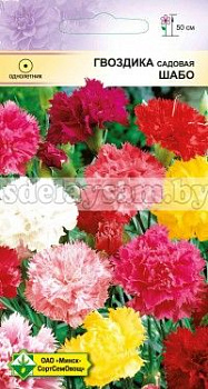 Гвоздика садовая Шабо