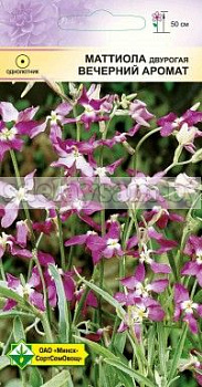 Маттиола двурогая Вечерний аромат