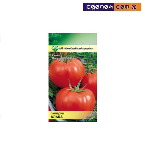 Помидоры Алька 