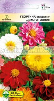 Георгина однолет Декоративная