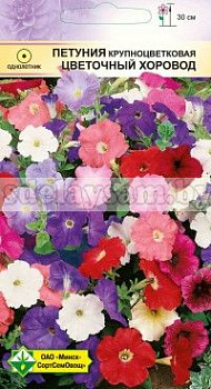 Петуния гибр крупноцв Цветочный хоровод
