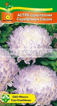 Астра Пионовидная Серебряная башня