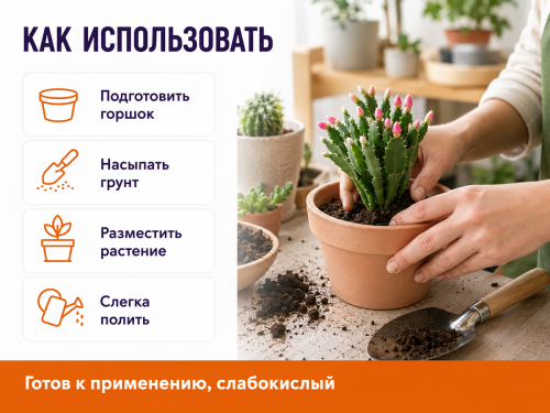 Сад чудес грунт питательный « Кактус», 2,5 л фото 4