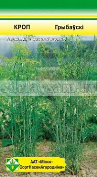 Укроп Грибовский