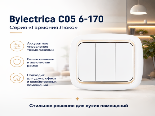 Выключатель С05 6-170