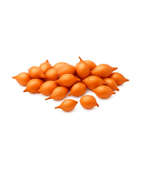 Лук севок Коррадо F1 (10-21мм)