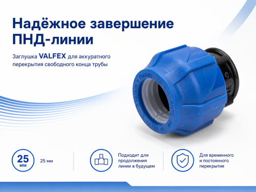 Заглушка ПНД VALFEX 121001123025, 25 мм