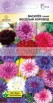 Василек синий Веселый хоровод
