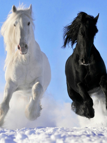 Электрообогреватель быт настенный *дыхание тепла* ЭОБН-0.4