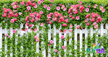 СЕТКА ВИНИЛОВАЯ (ПВХ) С ФОТОПЕЧАТЬЮ РАДА РУЛОННАЯ 1580 ММ 