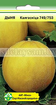 Дыня Колхозница