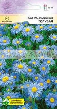 Астра альпийская Голубая