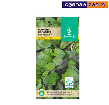 Горчица салатная Волнушка цв/п 0,5 гр.