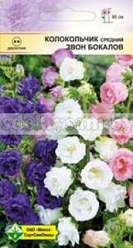 Колокольчик средний Звон бокалов